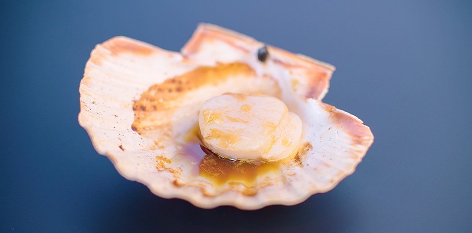 Saint-Jacques fraîche dans sa coquille – Recette